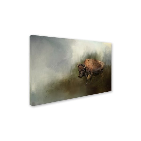 Jai Johnson 'Bison After The Mud Bath' Canvas Art,30x47